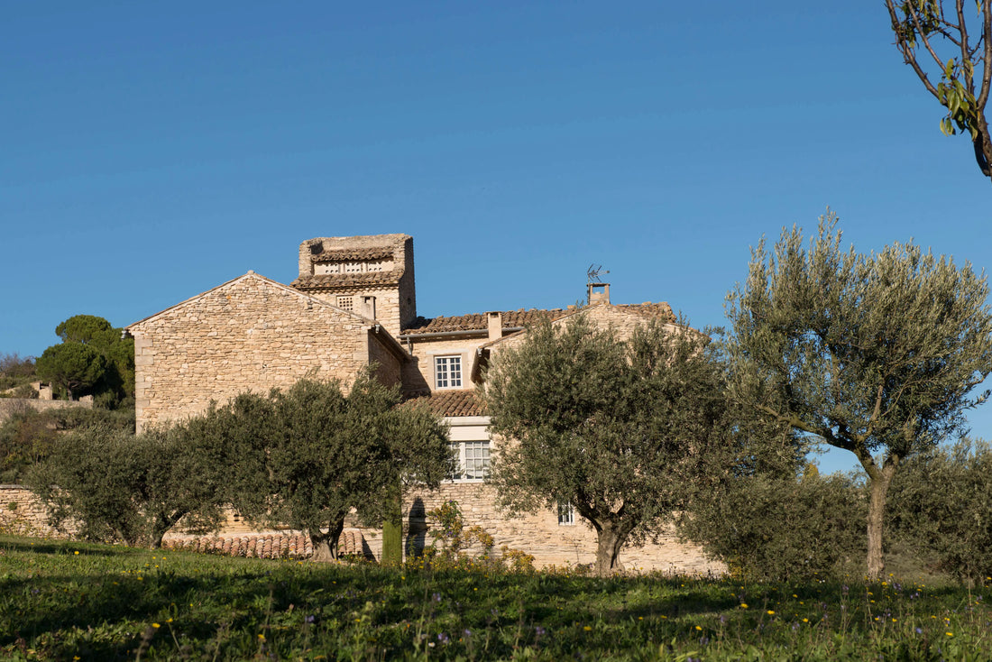 raditionelles Steinhaus umgeben von Olivenbäumen in der Provence, Frankreich. Olivenöl aus Frankreich kaufen – höchste Qualität und authentischer Geschmack aus der mediterranen Region.