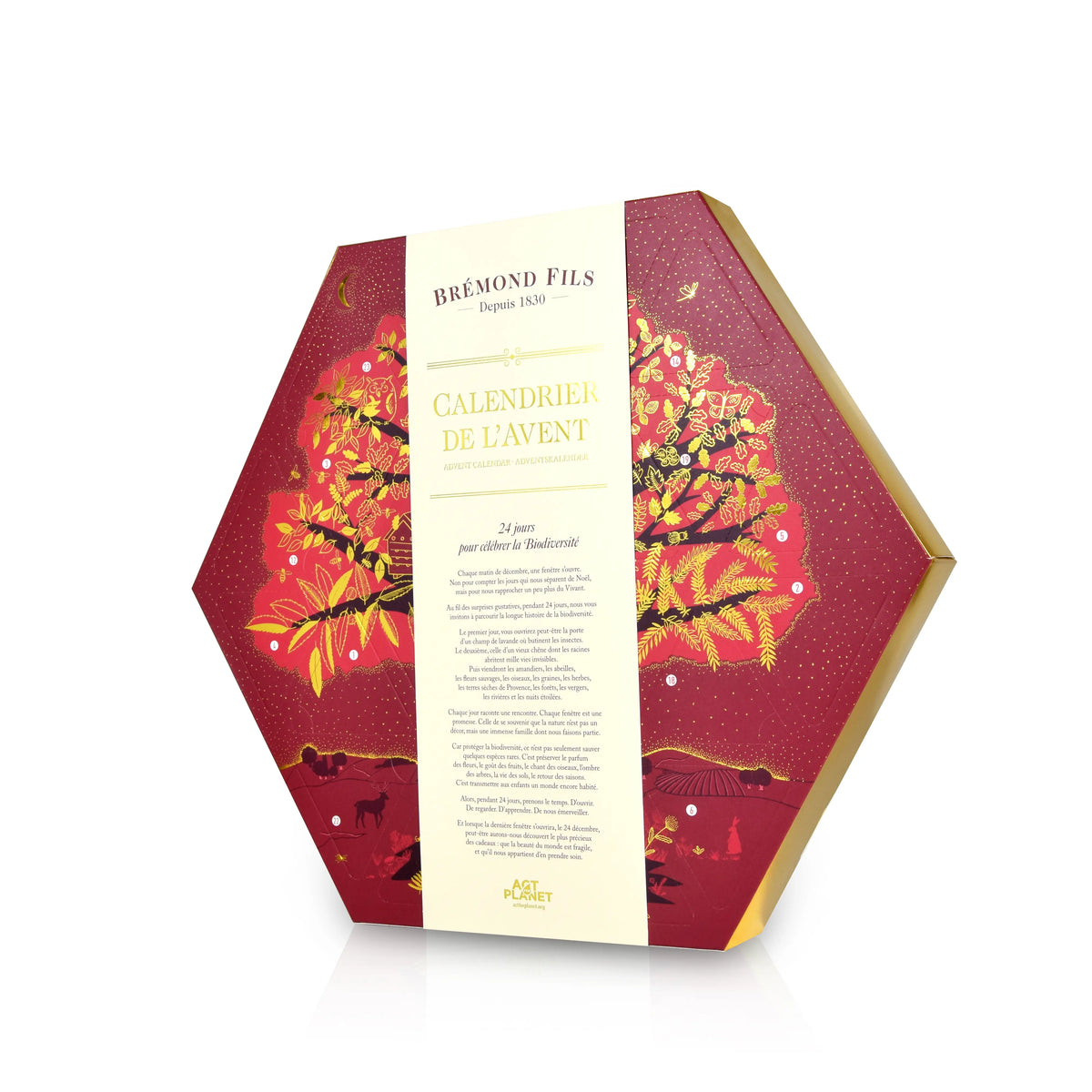 Gourmet Adventskalender 2026 – Französische Feinkost aus der Provence