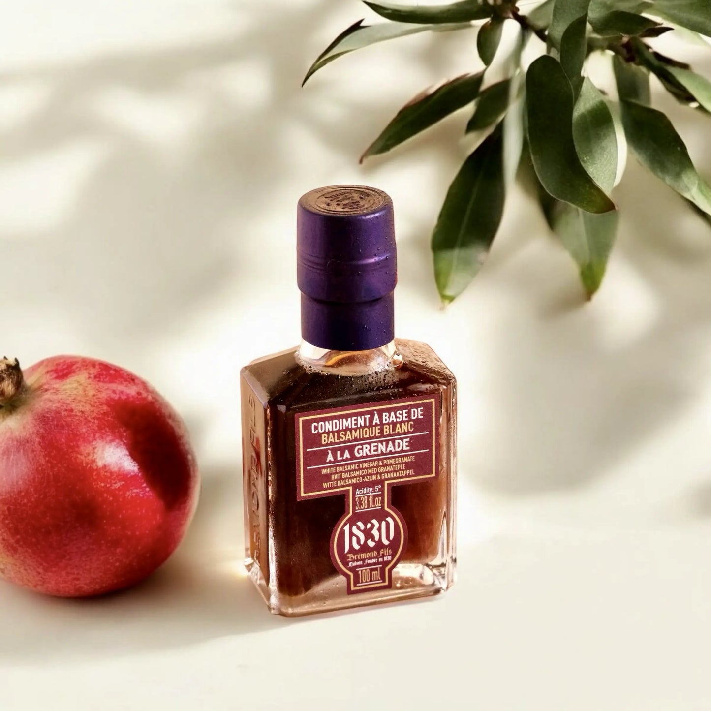 Maison Bremond 1830 Granatapfel-Balsamico-Essig in einer eleganten quadratischen Glasflasche mit lila Verschluss, neben einem frischen Granatapfel und Olivenzweigen auf hellem Hintergrund.