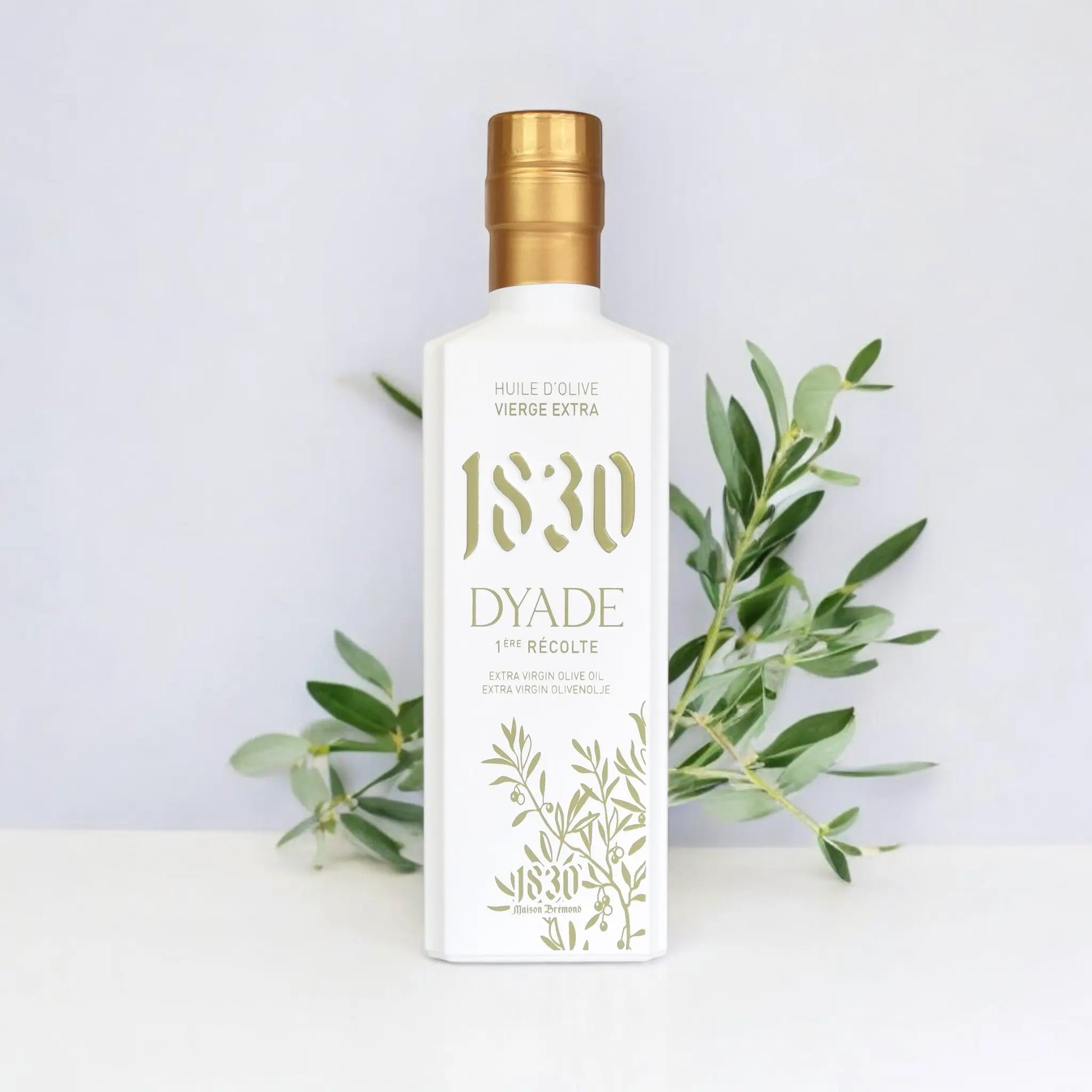 Dyade 1. Ernte – Hochwertiges Olivenöl aus der Provence, kaltgepresst und aus erster Ernte, mit frischen Olivenzweigen