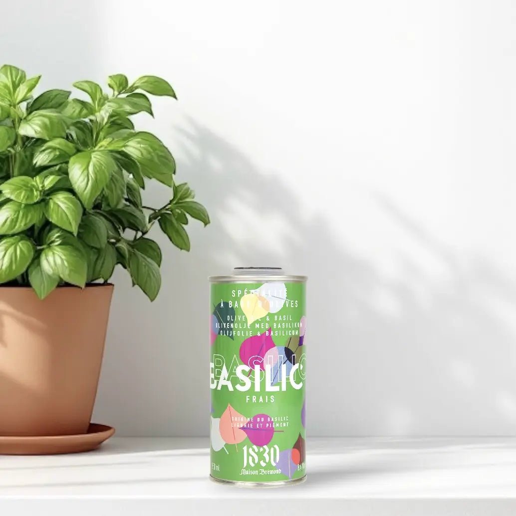 Maison Brémond Basilikum-Olivenöl neben frischer Basilikumpflanze – Hochwertiges Olivenöl mit frischem Basilikumgeschmack, stilvoll inszeniert mit einer Pflanze im Tontopf.