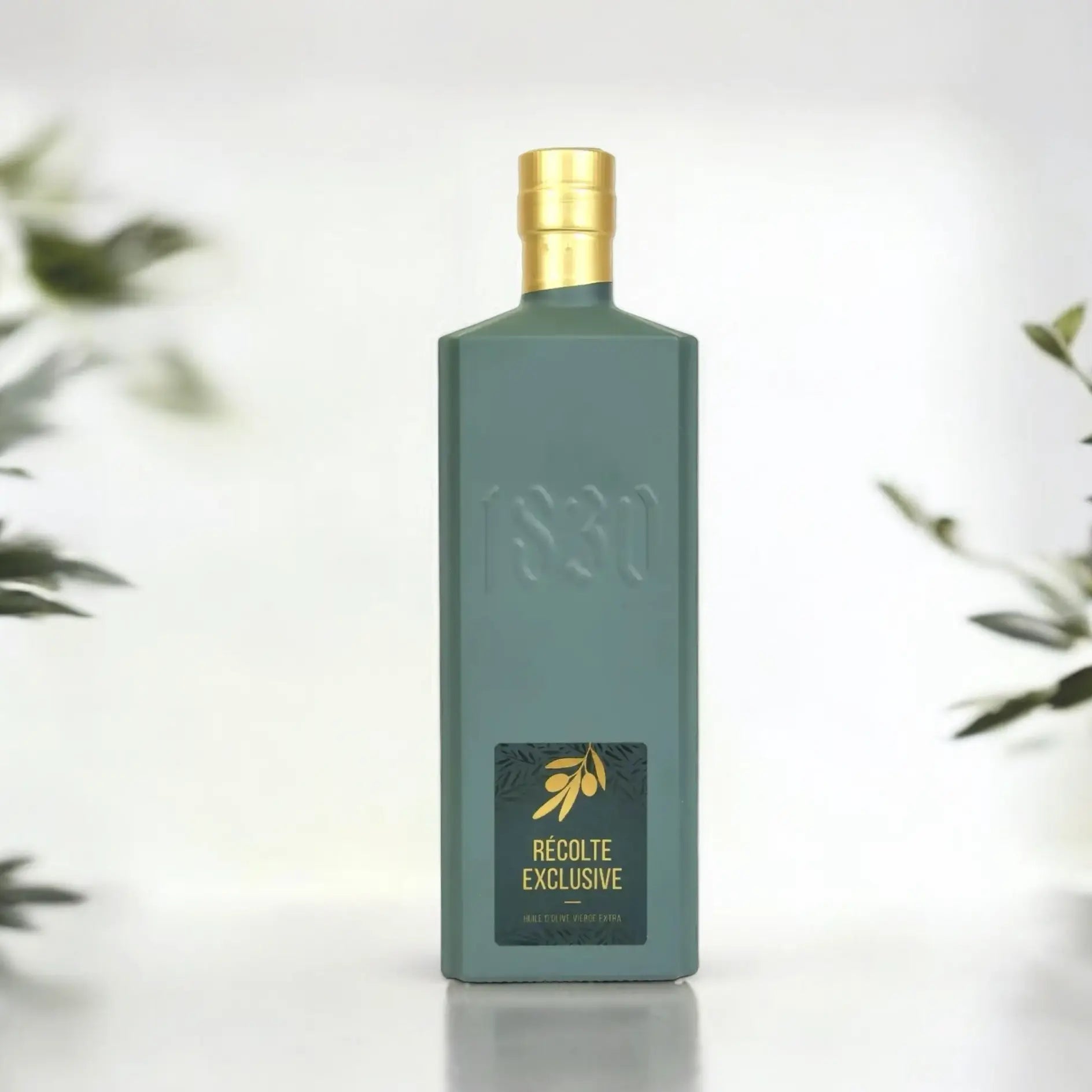 Recolte Exclusive – Bio Olivenöl aus Frankreich in stilvoller Präsentation mit Olivenblättern